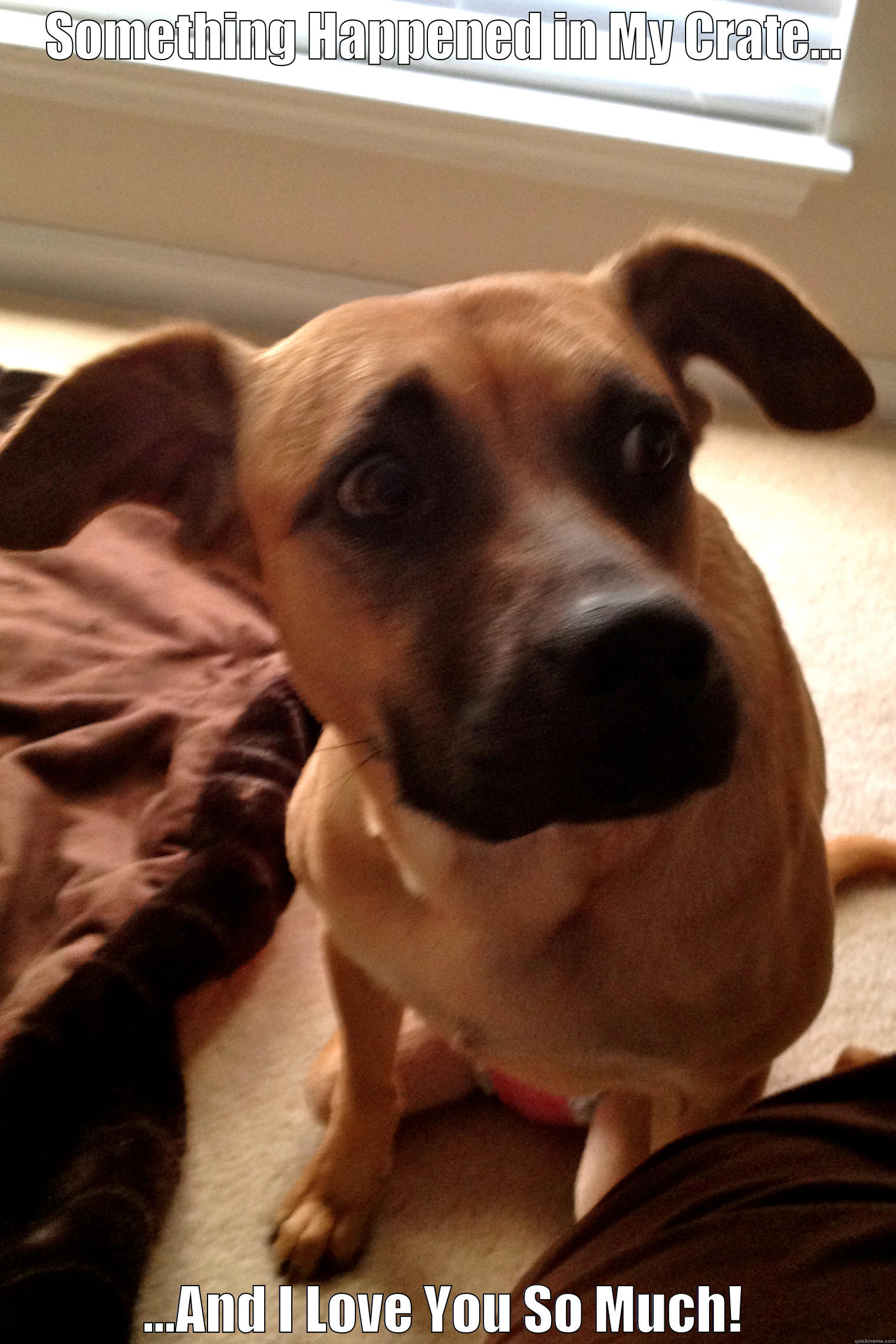 SOMETHING HAPPENED IN MY CRATE... ...AND I LOVE YOU SO MUCH! Misc