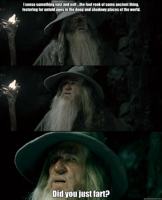 I sense something vast and evil ...the foul reek of some ancient thing,
 festering for untold ages in the deep and shadowy places of the world. Did you just fart?  Gandalf und das Spanischstudium