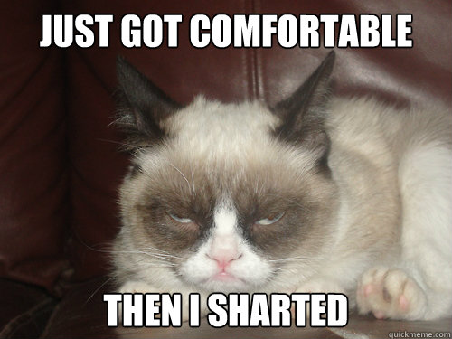 just got comfortable then i sharted  grumpycat