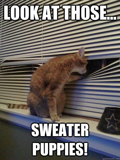 look at those... sweater puppies!  Peeping Tomcat