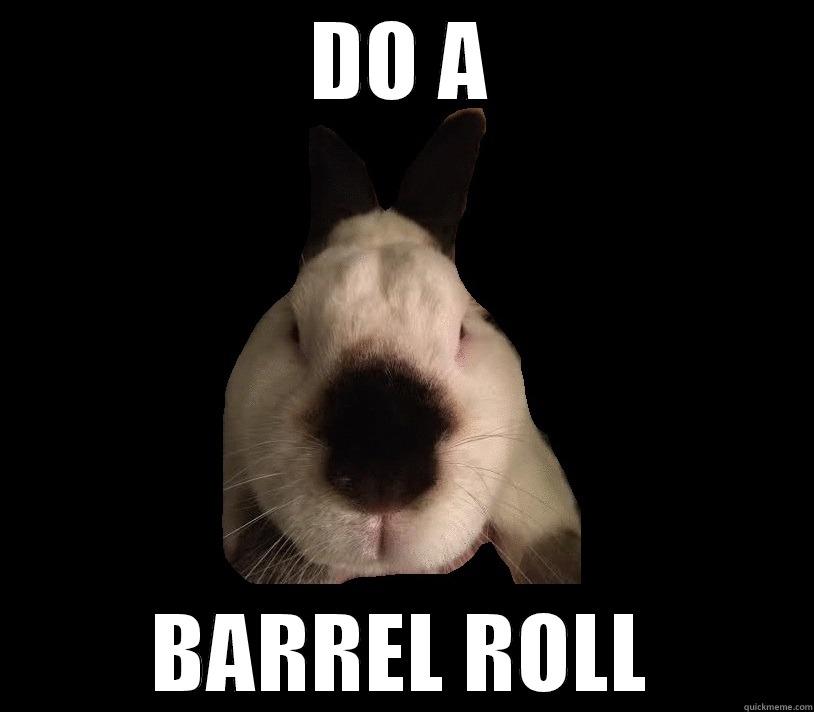 DO A BARREL ROLL Misc