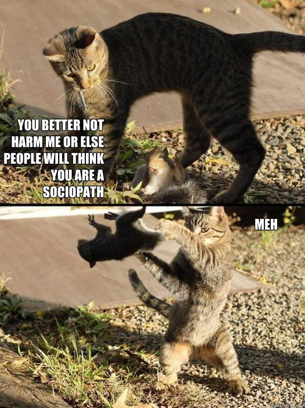 You better not harm me or else people will think you are a sociopath meh  Annoying Squirrel