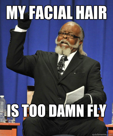 My facial hair is too damn fly  The Rent Is Too Damn High
