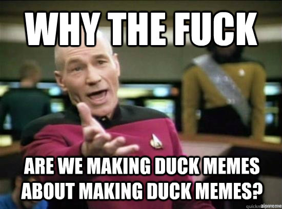 Why the fuck are we making duck memes about making duck memes?  Annoyed Picard HD