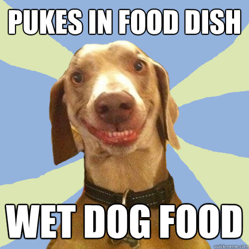 pukes in food dish WET DOG FOOD  Disgusting Doggy