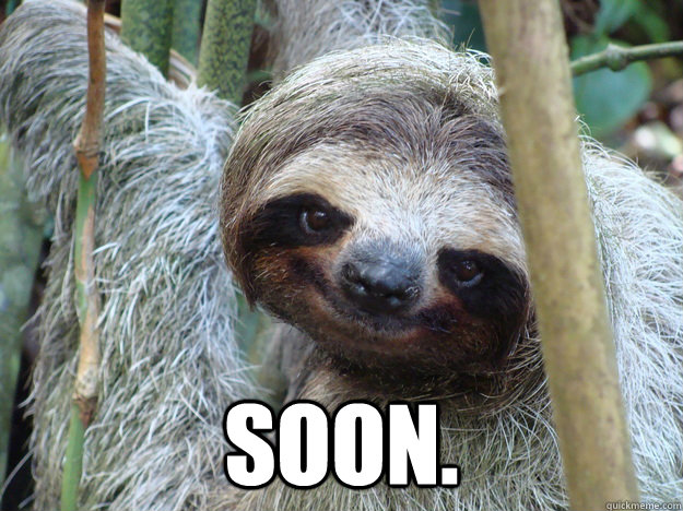  SOON. -  SOON.  Pickup-Line-Sloth