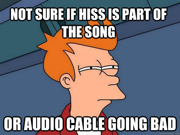 Not sure if hiss is part of the song or audio cable going bad  Futurama Fry