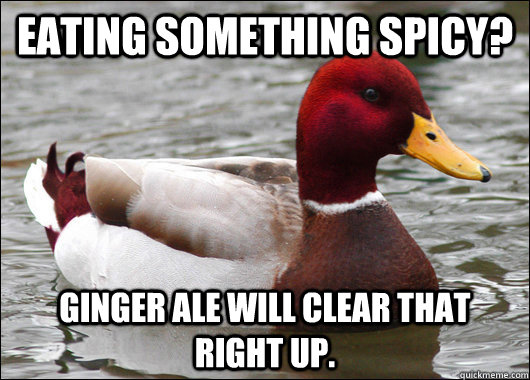 Eating something spicy? Ginger Ale will clear that right up.  Malicious Advice Mallard