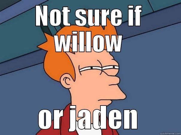 NOT SURE IF WILLOW OR JADEN Futurama Fry