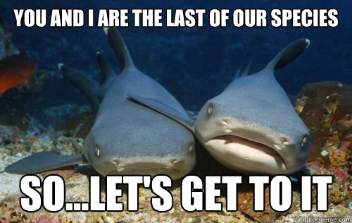 You and I are the last of our species So...Let's get to it  Compassionate Shark Friend