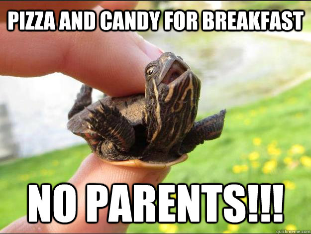 pizza and candy for breakfast no parents!!! - pizza and candy for breakfast no parents!!!  Instead of Work