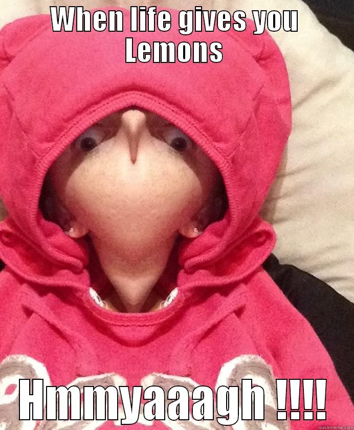 WHEN LIFE GIVES YOU LEMONS HMMYAAAGH !!!! Misc