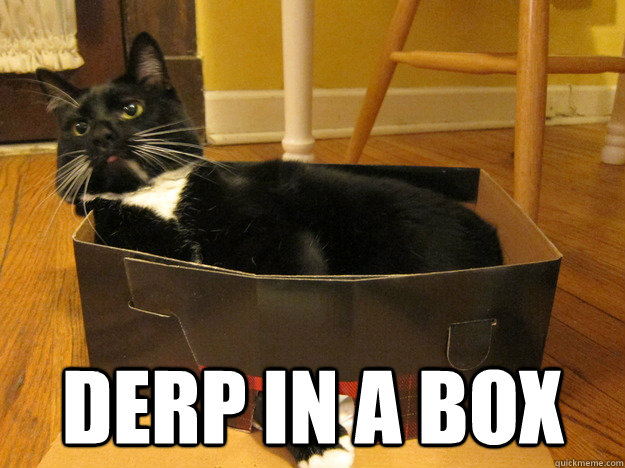derp in a box - Misc - quickmeme