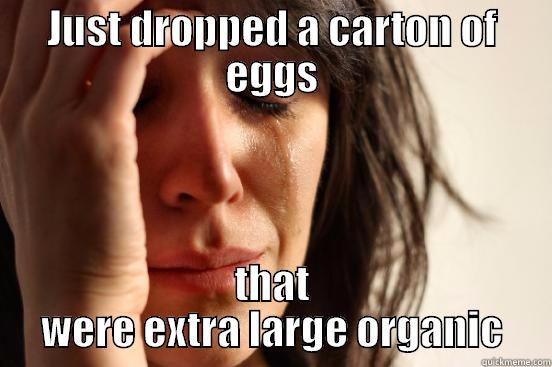 JUST DROPPED A CARTON OF EGGS THAT WERE EXTRA LARGE ORGANIC First World Problems