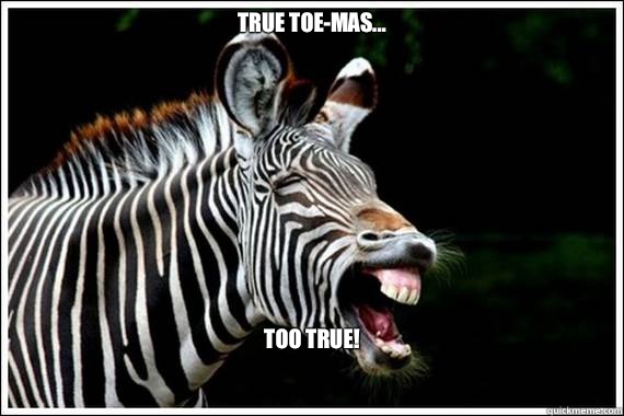                     True Toe-mas...                     








                     Too true!  Easily Amused Zebra