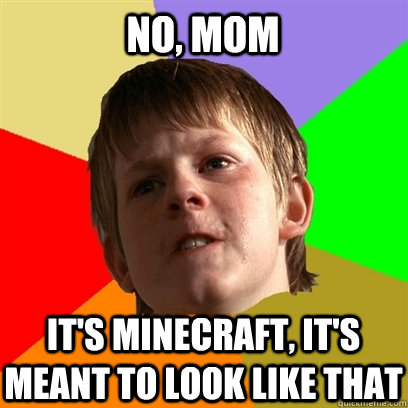 no, mom  it's minecraft, it's meant to look like that  Angry School Boy