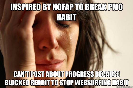 Inspired by NoFap to break PMO habit Can't post about progress because blocked Reddit to stop websurfing habit  First World Problems