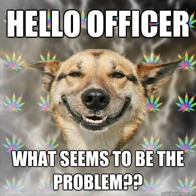 HELLO OFFICER  WHAT SEEMS TO BE THE PROBLEM??  Stoner Dog