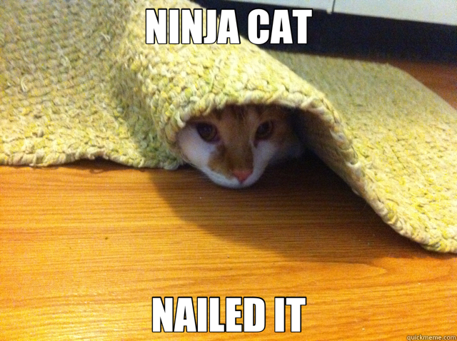 NINJA CAT NAILED IT - NINJA CAT NAILED IT  Rug Cat
