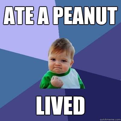 Ate a Peanut Lived  Success Kid