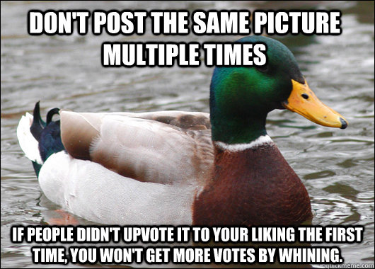 Don't post the same picture multiple times If people didn't upvote it to your liking the first time, you won't get more votes by whining. - Don't post the same picture multiple times If people didn't upvote it to your liking the first time, you won't get more votes by whining.  Actual Advice Mallard
