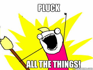 Pluck All the things!  All The Things