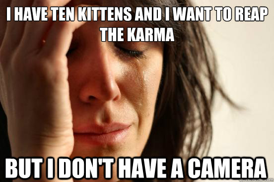 I have ten kittens and I want to reap the karma But I don't have a camera  First World Problems