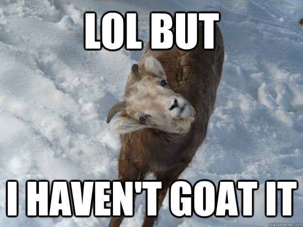 LOL BUT I haven't goat it - LOL BUT I haven't goat it  Goofy Goat