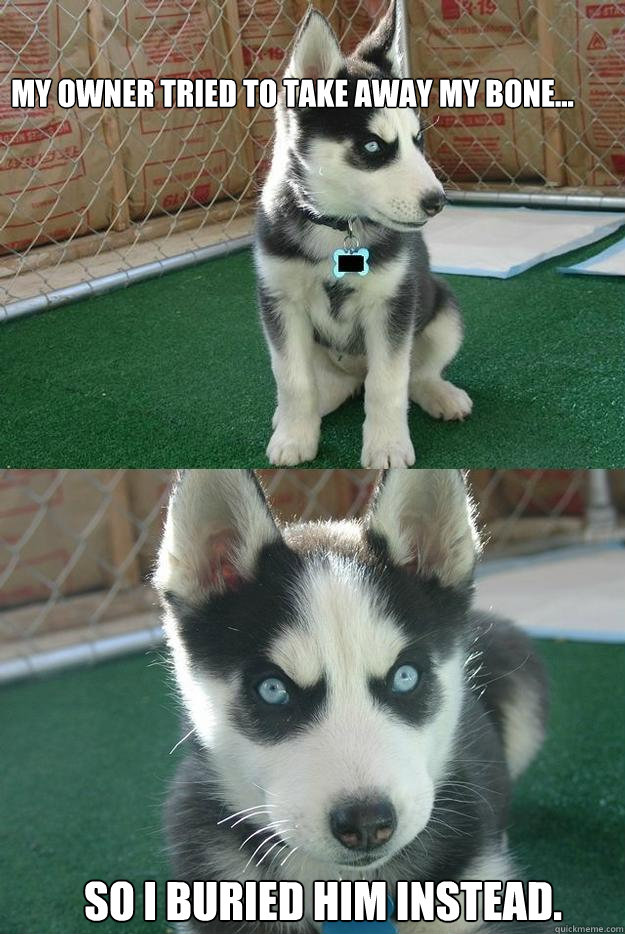 My owner tried to take away my bone... So I buried him instead.  Insanity puppy