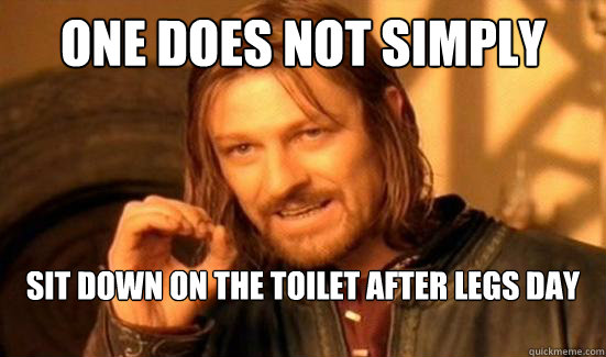 One Does Not Simply sit down on the toilet after legs day  Boromir