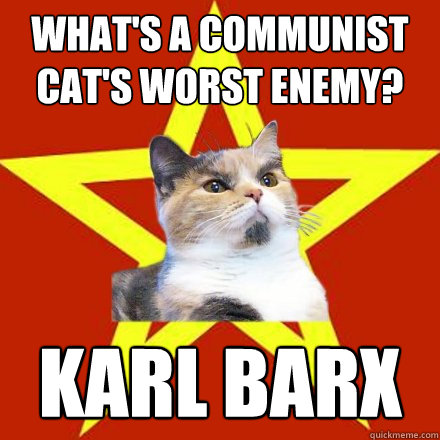 What's a communist cat's worst enemy? Karl Barx  Lenin Cat