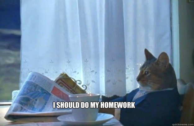 I should do my homework  Sophisticated Cat