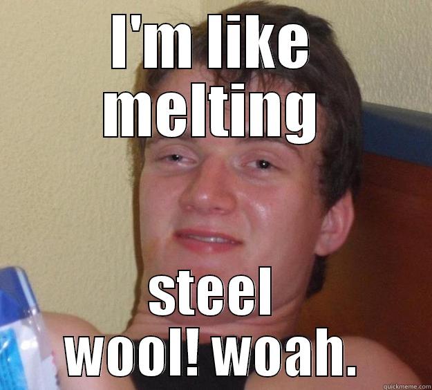 I'M LIKE MELTING STEEL WOOL! WOAH. 10 Guy