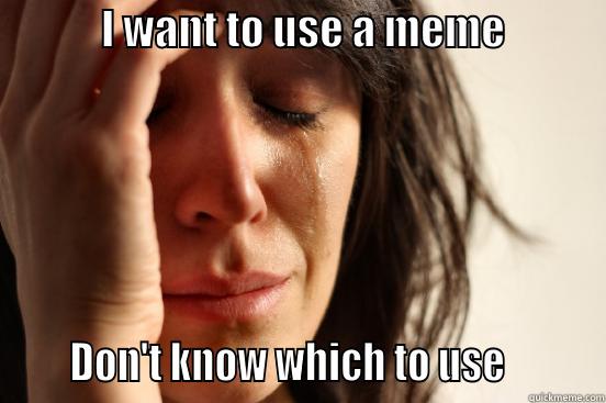             I WANT TO USE A MEME                  DON'T KNOW WHICH TO USE         First World Problems