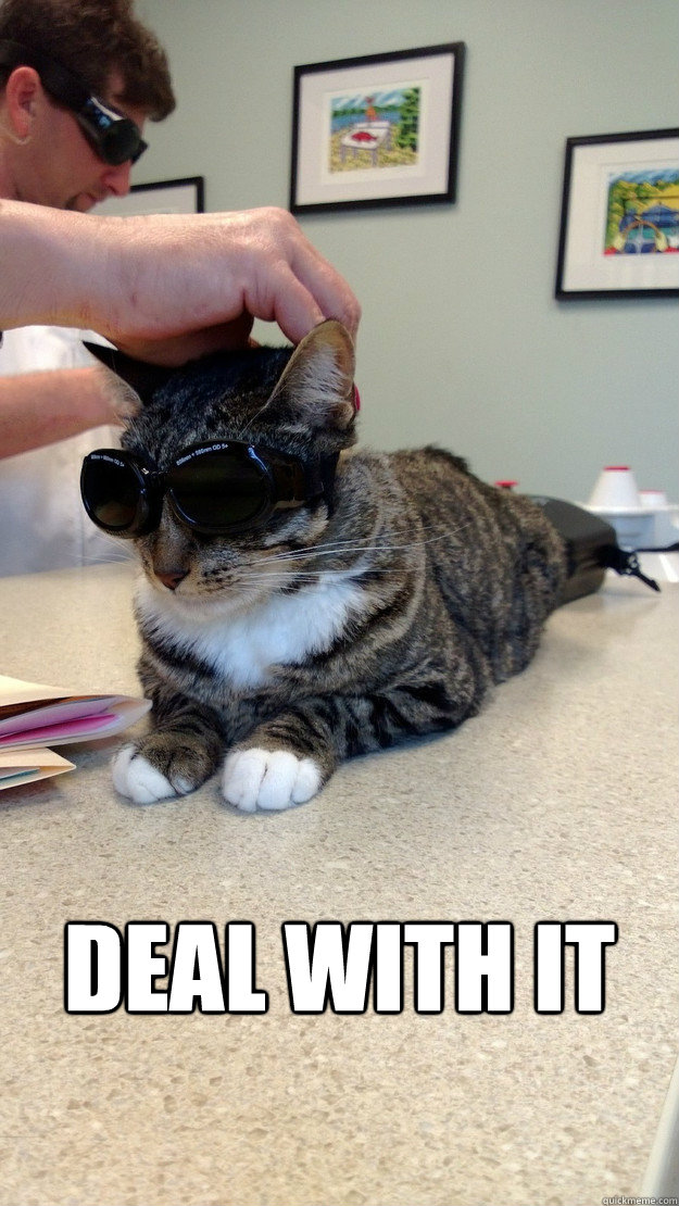  deal with it -  deal with it  Misc