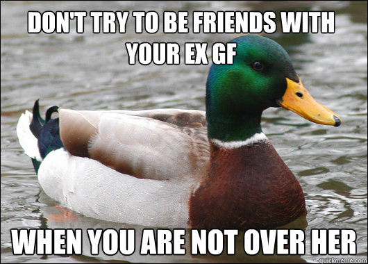 Don't try to be friends with your ex gf when you are not over her - Don't try to be friends with your ex gf when you are not over her  Actual Advice Mallard