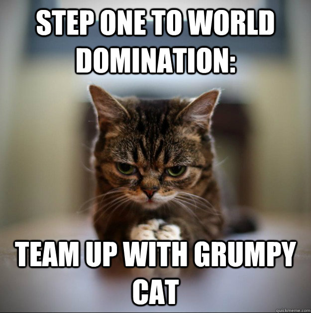 Step one to world domination: team up with grumpy cat  