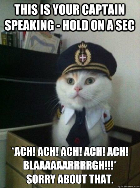 this is your captain speaking - hold on a sec *ach! ach! ach! ach! ach! blaaaaaarrrrgh!!!*
sorry about that.  Captain kitteh
