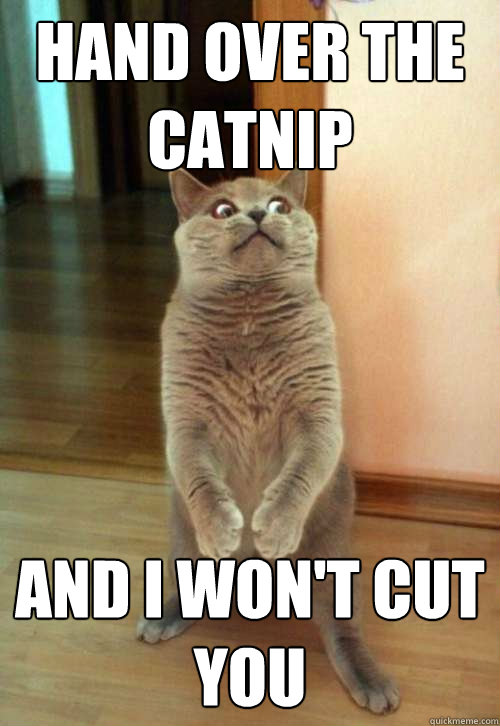 Hand over the catnip and i won't cut you  Horrorcat