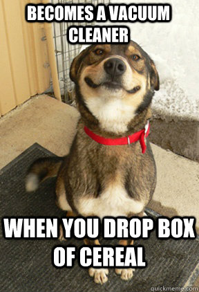 Becomes a vacuum cleaner when you drop box of cereal - Becomes a vacuum cleaner when you drop box of cereal  Good Dog Greg