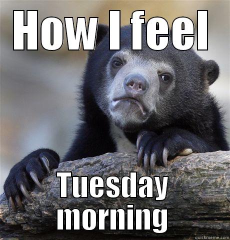 HOW I FEEL TUESDAY MORNING Confession Bear. comments. 