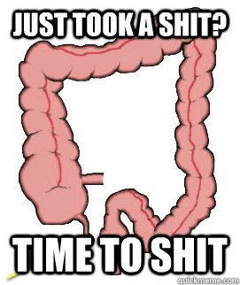 Just took a shit? Time to shit  Scumbag Bowels