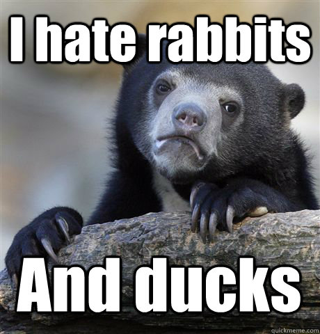 I hate rabbits And ducks  Confession Bear