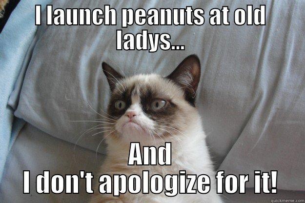 I LAUNCH PEANUTS AT OLD LADYS... AND I DON'T APOLOGIZE FOR IT! Grumpy Cat