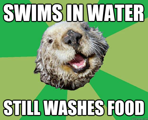 swims in water still washes food  OCD Otter