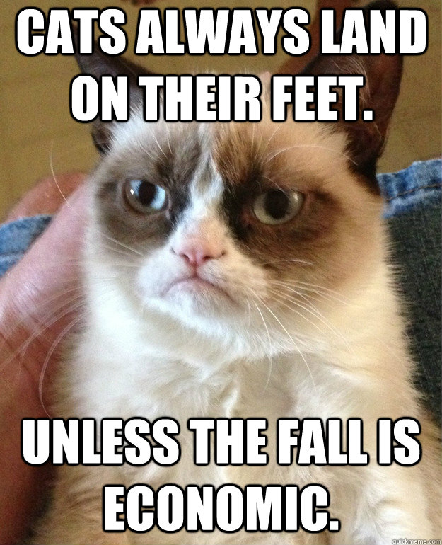 Cats always land on their feet. Unless the fall is economic.  Grumpy Cat