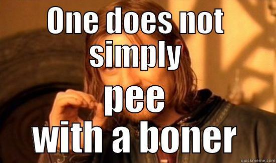 ONE DOES NOT SIMPLY PEE WITH A BONER Boromir