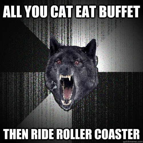 all you cat eat buffet then ride roller coaster  Insanity Wolf