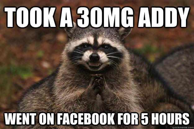 Took a 30mg Addy Went on Facebook for 5 hours  Evil Plotting Raccoon