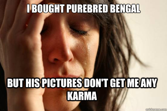I bought purebred Bengal But his pictures don't get me any karma  First World Problems